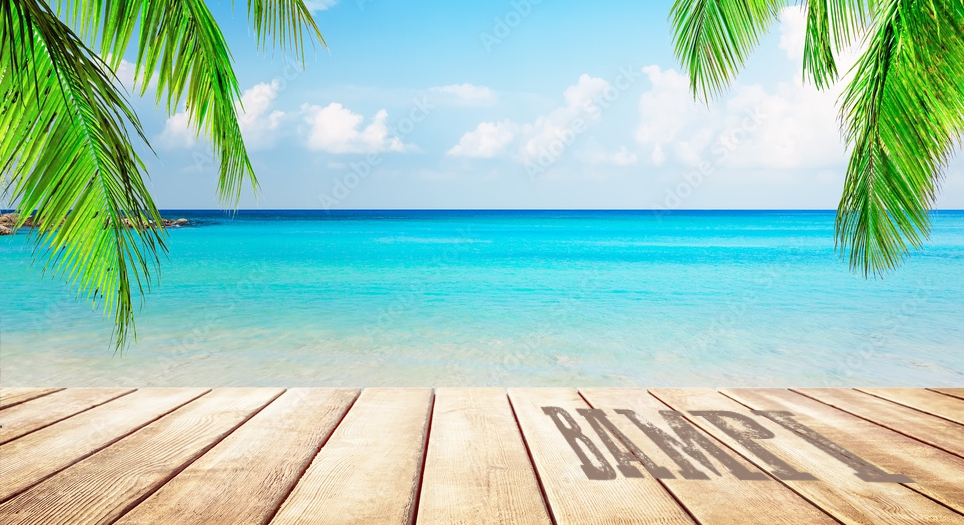 Vacanze Estive BAMPI 2024