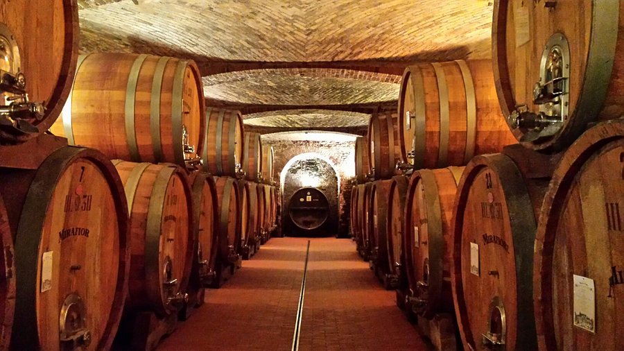 Interno Cantina Fontana Fredda CUNEO